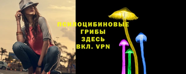 ECSTASY Медногорск