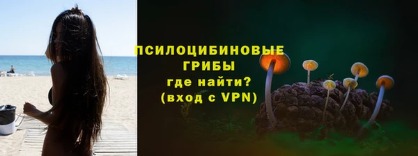 ECSTASY Медногорск