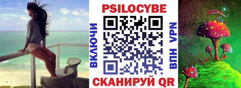 Галлюциногенные грибы Psilocybine cubensis  shop состав  Красный Кут 